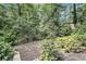 View of the backyard showing mature trees, landscaping, and a terraced gardening area at 6590 Williamson Ne Dr, Atlanta, GA 30328