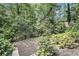 Peaceful backyard with garden area, surrounded by mature trees and greenery at 6590 Williamson Ne Dr, Atlanta, GA 30328