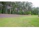 Expansive backyard features lush green grass and a wooded area, offering privacy and outdoor enjoyment at 3405 Linstead Ct, Loganville, GA 30052
