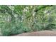 Lush backyard filled with mature trees, providing ample shade and privacy at 700 Patriots Point St, Locust Grove, GA 30248