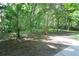 Serene backyard featuring mature trees providing shade, benches for relaxation, and natural beauty at 116 Festoon Ct, Smyrna, GA 30080
