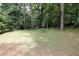 Spacious backyard featuring a large green lawn surrounded by mature trees, ideal for relaxation and outdoor activities at 116 Festoon Ct, Smyrna, GA 30080