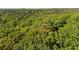 Lush green treetops create a dense canopy in this scenic aerial view, perfect for nature lovers at 181 Sentinel Pl, Marietta, GA 30067