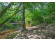 Scenic creek view surrounded by lush greenery and mature trees at 181 Sentinel Pl, Marietta, GA 30067