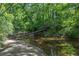 Tranquil creek meandering through dense woods offers scenic views at 181 Sentinel Pl, Marietta, GA 30067