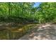 Serene creek bordered by mature trees and lush greenery, adding privacy at 181 Sentinel Pl, Marietta, GA 30067