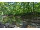 Peaceful creek featuring clear water surrounded by green trees and rocks at 181 Sentinel Pl, Marietta, GA 30067