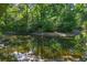 Scenic river view showcases a rope swing over calm waters surrounded by dense, green trees at 181 Sentinel Pl, Marietta, GA 30067