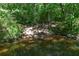 Serene pond with a rope swing hanging from a tree, adding a touch of adventure to nature's calm at 181 Sentinel Pl, Marietta, GA 30067