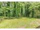 A beautiful backyard surrounded by lush greenery at 3900 Bressler Cir, Decatur, GA 30035