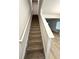 Carpeted staircase leading to upper level, complemented by white trim at 836 Courthouse Park Dr, Temple, GA 30179