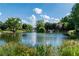 Picturesque pond featuring a serene fountain surrounded by lush landscaping and mature trees at 9325 Saint Georgen Cmn, Duluth, GA 30097
