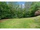 Spacious backyard with well-maintained lawn and mature trees offering privacy and natural beauty at 8170 Hurakan Creek Xing, Cumming, GA 30028