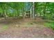 Wooded backyard featuring mature trees, natural foliage, and a gardening bed at 162 Riverchase Dr, Woodstock, GA 30188