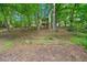 Backyard with a wooded surround and a small gardening plot at 162 Riverchase Dr, Woodstock, GA 30188