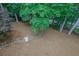 Aerial view of backyard featuring mature trees and stone accents at 4047 Watkins Glen Dr, Woodstock, GA 30189