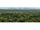 Expansive view of the city skyline, showcased against a backdrop of lush greenery and serene natural surroundings at 2700 Paces Ferry Se Rd # 202, Atlanta, GA 30339