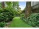 Lush backyard shows a manicured yard, mature trees, and foliage at 1066 High Point Ne Dr, Atlanta, GA 30306