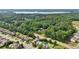 Panoramic aerial view captures homes and the surrounding green spaces and a lake in distance at 251 Parc Dr, Canton, GA 30114