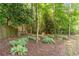 Backyard landscaping featuring hostas and decorative bamboo at 1652 Weymouth Ct, Tucker, GA 30084