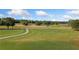 Picturesque view of the expansive lot with green fields, mature trees, and winding driveway at 829 Christopher Rd, Sharpsburg, GA 30277