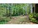 View of the backyard and wooded area in the rear of the home providing privacy at 4827 Wyndam Dr, Stone Mountain, GA 30088