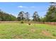 Large backyard featuring green grass, mature trees and a fire pit at 159 Cranbrooke Dr, Dallas, GA 30157