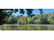 Peaceful pond surrounded by green trees and foliage on a clear day at 607 Tall Timbers, Woodstock, GA 30188
