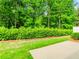 Backyard with concrete patio, lawn, and trimmed hedge at 1555 Water Vista Ct # 4102, Cumming, GA 30041