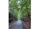 Road through a forest with tall trees and green leaves at 2335 Portrush Way (Lot 26) Dr, Atlanta, GA 30339