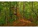 Surrounded by towering trees, this treehouse offers a tranquil escape at 133 Parkway Dr, Fairburn, GA 30213