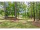 Lush front yard with mature trees around a home, blending nature and architecture at 218 Ward Rd, Ellenwood, GA 30294