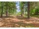 View of the distant house from wooded area at 218 Ward Rd, Ellenwood, GA 30294