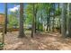 View of the spacious, wooded backyard featuring mature trees and natural surroundings at 1489 Kolb Ridge Sw Dr, Marietta, GA 30008