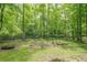 A lush backyard with a dark wooden fence and plenty of mature trees at 210 Little River Farms Trl, Canton, GA 30115