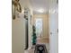 An inviting hallway leads toward a bathroom and other rooms, with plants and a stylish rug enhancing the walkway at 3700 Mays Xing, Atlanta, GA 30331