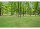 Lush green backyard featuring mature trees scattered across the lawn, providing shade and privacy at 789 Concord Sw Rd, Smyrna, GA 30082