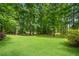 Expansive backyard showcasing mature trees and lush green lawn, perfect for outdoor activities at 789 Concord Sw Rd, Smyrna, GA 30082