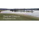There are 3 lakes in Peachtree City at 108 Shawville Ln, Peachtree City, GA 30269