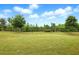 Large grassy backyard bordered by a black metal fence and mature trees at 5744 Cypress Bluff Ln, Hoschton, GA 30548