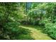 Tranquil backyard with tall trees, manicured lawn, and ample shade, creating a serene and private outdoor retreat at 5170 Oxbow Rd, Stone Mountain, GA 30087
