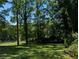 Green backyard featuring mature trees and lush grass, providing a serene and private outdoor space at 2131 Glendale Dr, Decatur, GA 30032