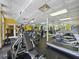 Community gym with weights, mirrors, and treadmills at 230 Leaf Court, Alpharetta, GA 30005