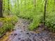 A picturesque creek flows through the wooded property, enhancing the natural beauty of the surroundings at 7720 Milam Rd, Winston, GA 30187