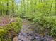 Tranquil creek with foliage and wooded surroundings at 7720 Milam Rd, Winston, GA 30187