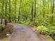 Paved curving driveway through a wooded area at 7720 Milam Rd, Winston, GA 30187