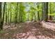 View of a woodland property, showing a trail among tall trees at 7720 Milam Rd, Winston, GA 30187
