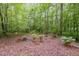 Backyard setting with potted plants and wheelbarrows at 7720 Milam Rd, Winston, GA 30187
