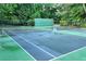 Community tennis court ready for a match, surrounded by a lush green landscape and tall trees at 1205 Mcclelen Way, Decatur, GA 30033