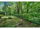 A serene and private backyard with mature trees and lush greenery all around at 450 S Susan Creek Dr, Stone Mountain, GA 30083